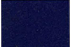 Hotfix Bügelfolie Samtflock dunkelblau  10cm x 15cm